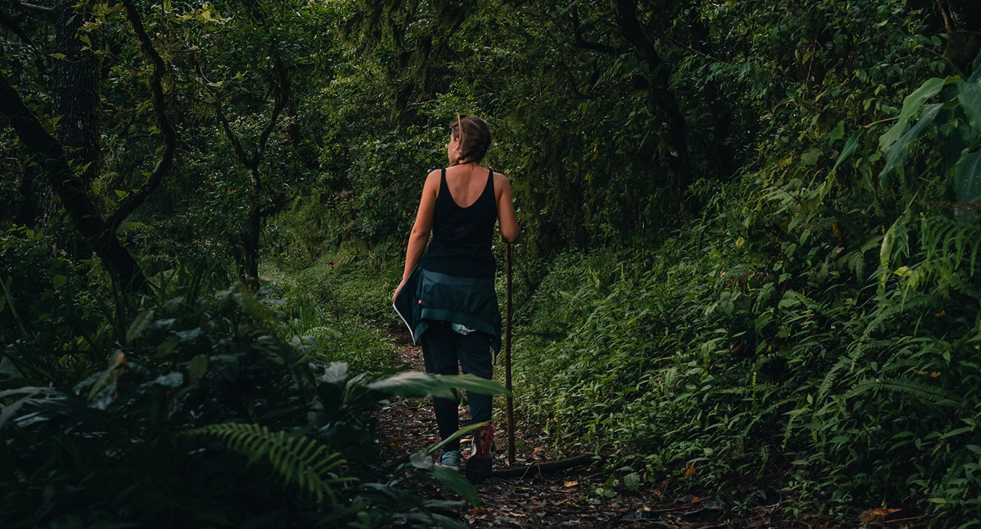 Alpine Design Sales Store -Alpine Design Sales Store