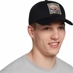 Alpine Design Men's Patch Cap For Men Olive